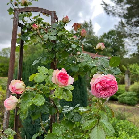 Le Loriot Bed & Breakfast Champagne-et-Fontaine Exterior foto